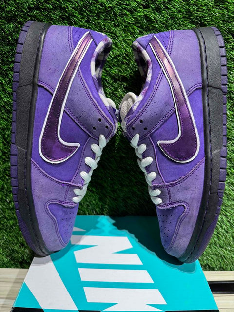 Nike SB Dunk Low Concepts Purple Lobster Sz 11