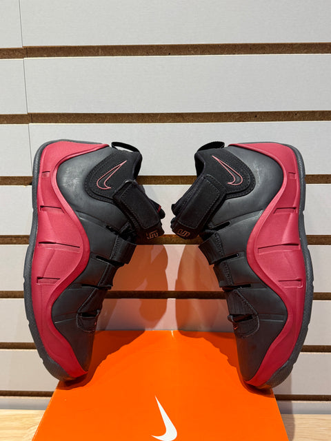Nike Air LeBron 4 GS Sz 6.5