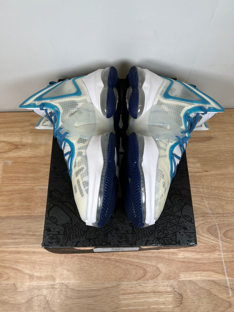 Space Jam Nike LeBron 19