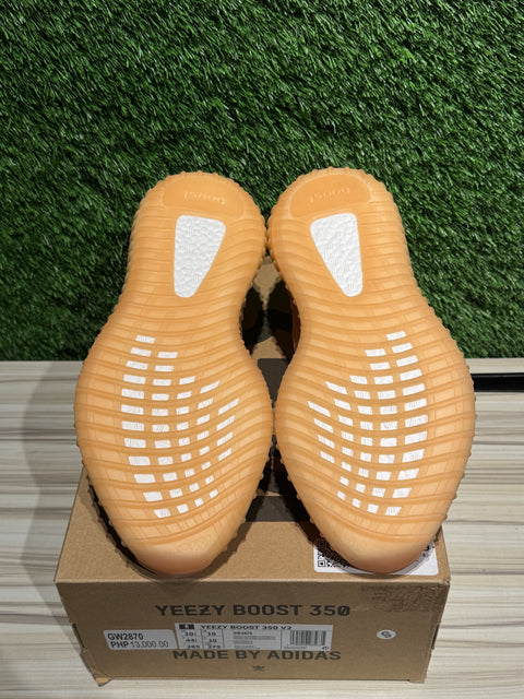 adidas Yeezy Boost 350 V2 Mono Clay Sz 10.5M
