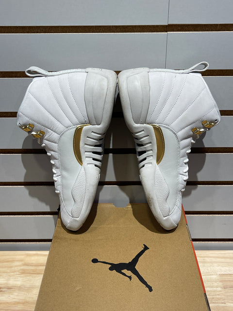 Jordan 12 Retro Phantom (Women's) Sz 10M