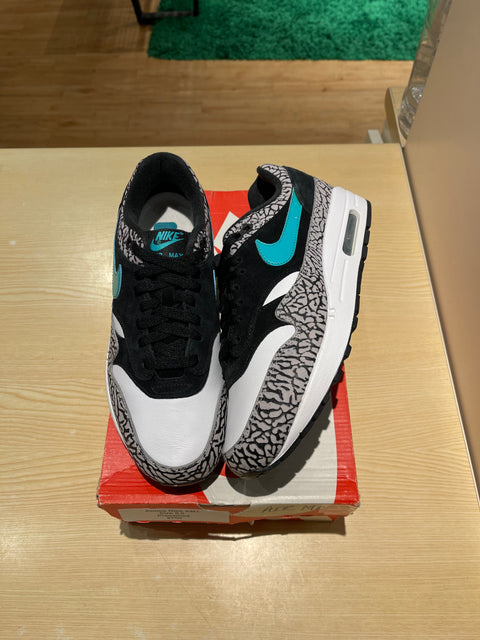 Nike Air Max 1 '87 Safari Summit White Phantom (Women's)