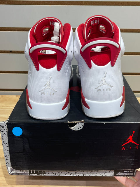Jordan 6 Retro Alternate Hare Sz 11