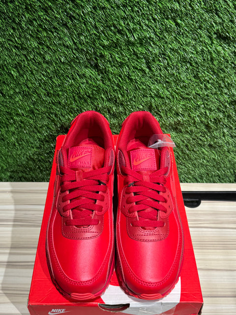 Nike Air Max 90 City Special Chicago Sz 9M