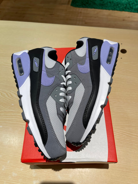 Nike Air Max 90 Photon Dust Light Thistle