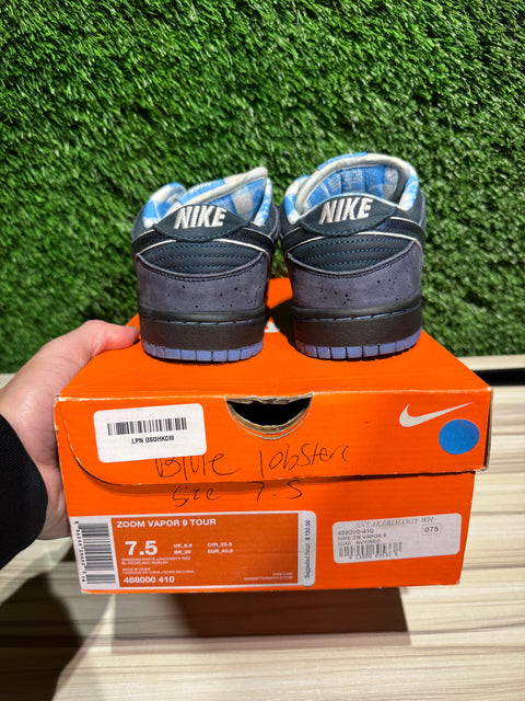 Nike SB Dunk Low Concepts Blue Lobster Sz 7.5M