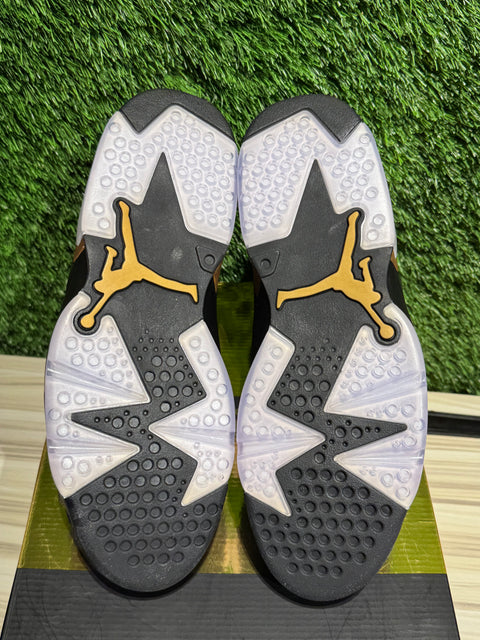 Jordan 6 Retro DMP (2020) Sz 9.5M