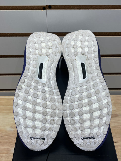 adidas Ultra Boost 1.0 Washington Sz 9M