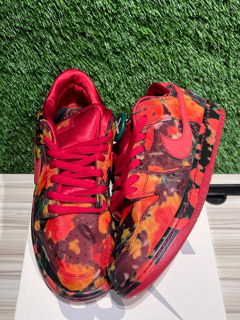 Nike SB Dunk Low The Wizard of Oz Poppy Field Sz 12