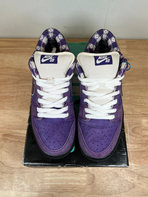 Nike SB Dunk Low Concepts Purple Lobster