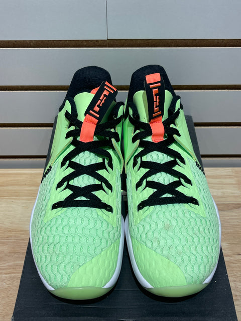 Nike LeBron Witness 5 Grinch Sz 9.5