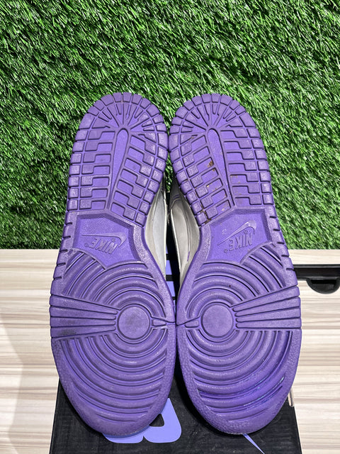 Nike SB Dunk High Dinosaur Jr. Sz 8M