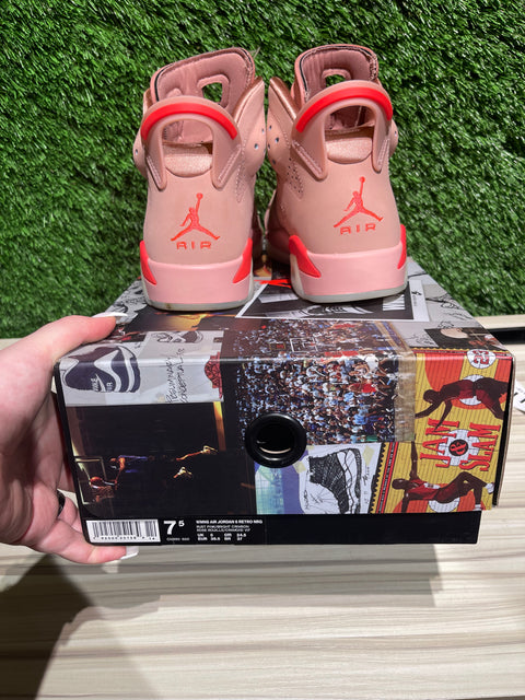 Jordan 6 Retro Aleali May (Women's) Sz 6M