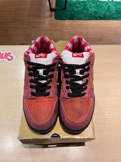 Nike SB Dunk Low Concepts Red Lobster