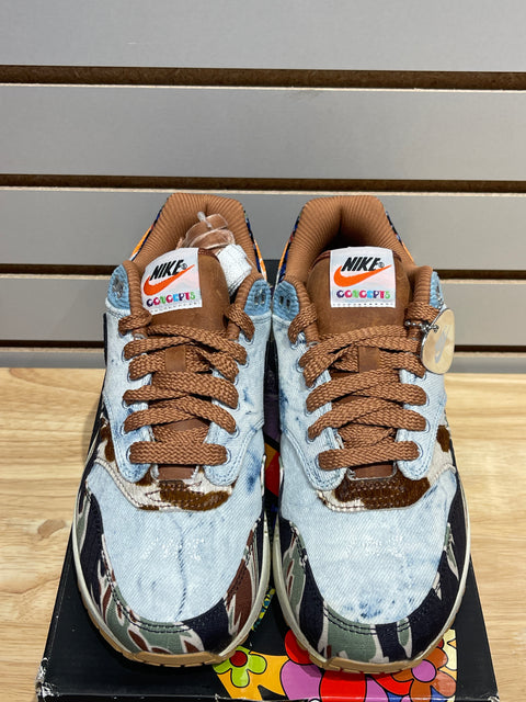 Nike Air Max 1 SP Concepts Heavy Sz 6.5M