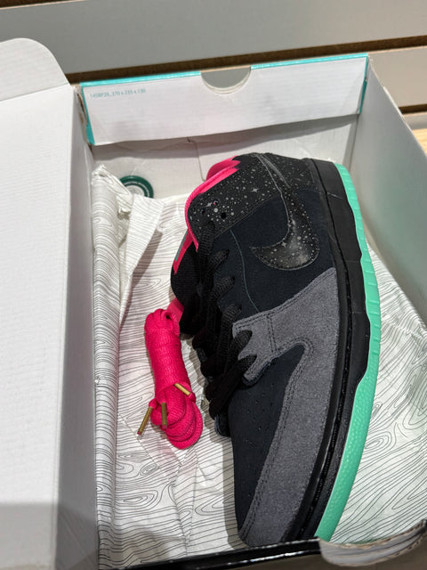 Nike SB Dunk Low Premier Northern Lights Sz 13