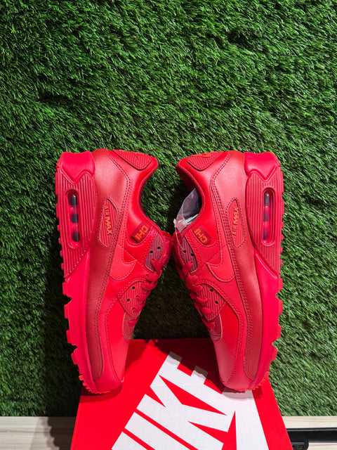 Nike Air Max 90 City Special Chicago Sz 9M