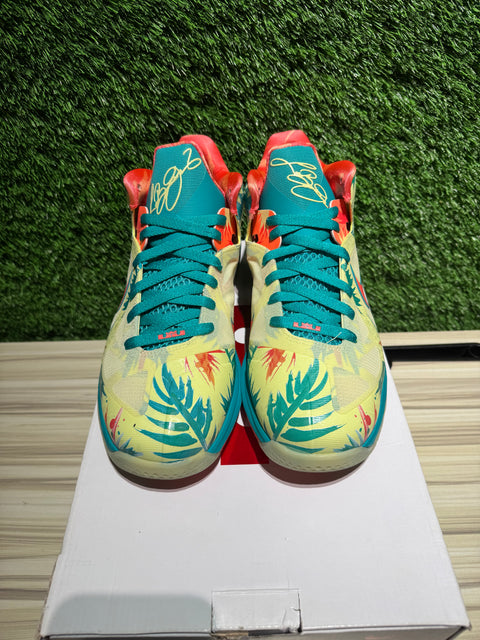 Nike LeBron 9 Low LeBronald Palmer (2022) Sz 11.5M
