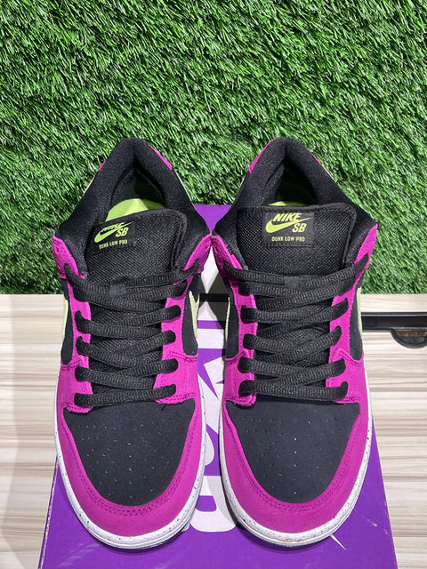 Nike SB Dunk Low Pro ACG Terra Red Plum Sz 11M