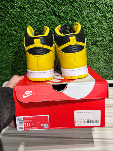 Nike Dunk High Iowa (2020) Sz 10
