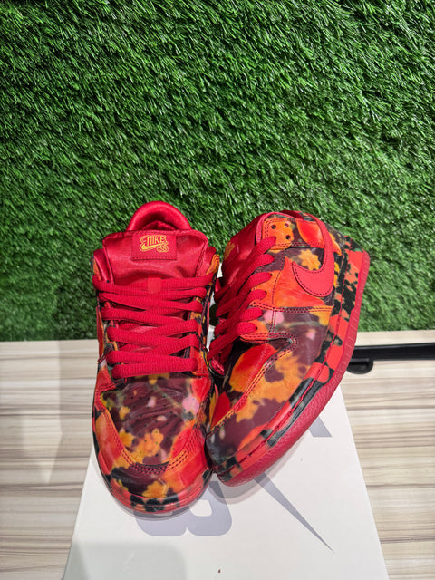 Nike SB Dunk Low The Wizard of Oz Poppy Field Sz 7.5