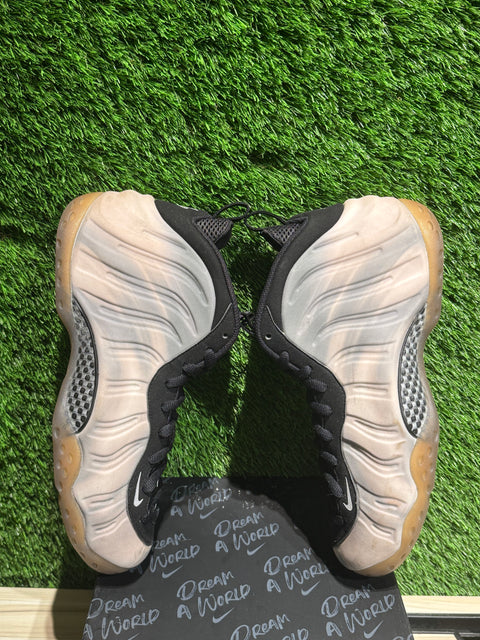 Nike Air Foamposite One QS Dream a World Sz 11
