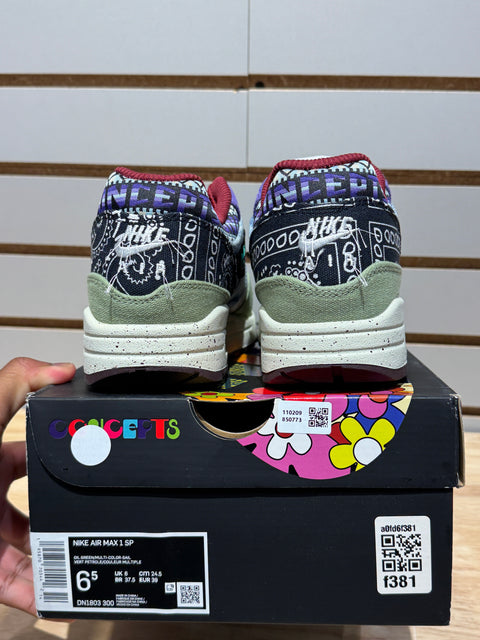 Nike Air Max 1 SP Concepts Mellow Sz 6.5