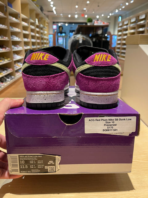 Nike SB Dunk Low Pro ACG Terra Red Plum