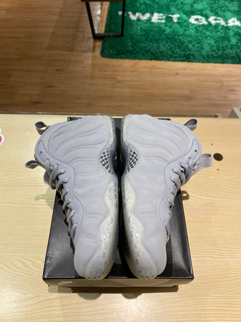 Nike Air Foamposite One Wolf Grey Suede