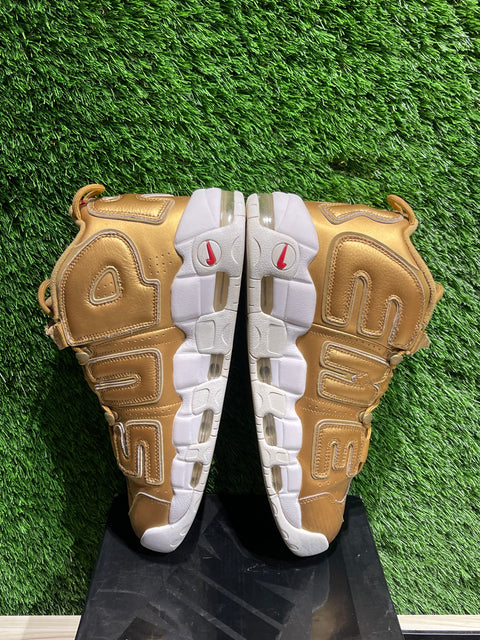 Nike Air More Uptempo Supreme Suptempo Gold Sz 11M