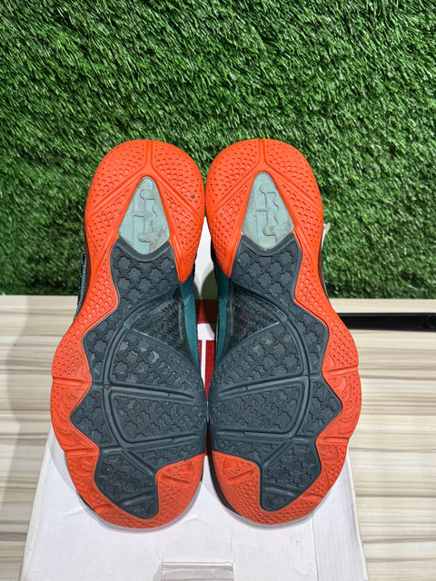 Nike LeBron 9 Cannon Sz 9