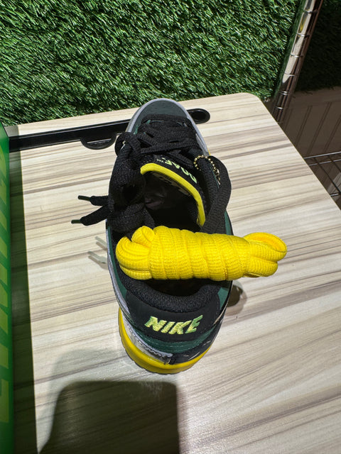 Nike Dunk Low What the Duck Home University of Oregon PE Sz 8