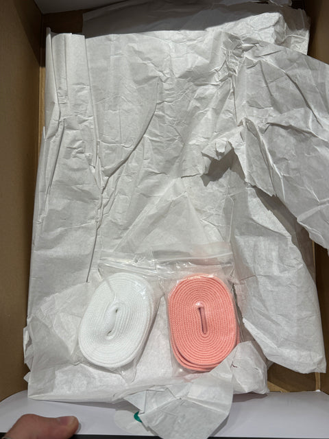 Jordan 1 Retro High OG Bleached Coral Sz 11