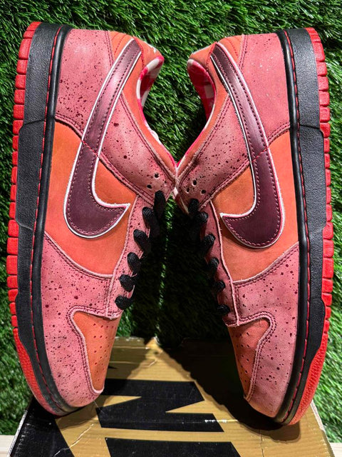 Nike SB Dunk Low Concepts Red Lobster Sz 10.5