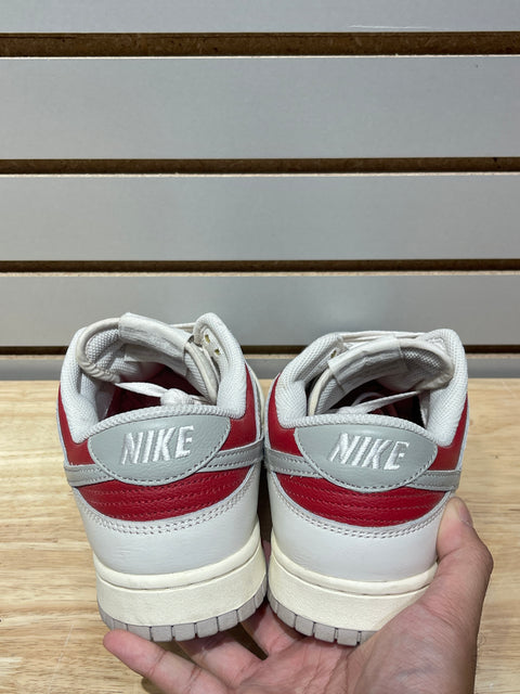 Nike Dunk Low Light Iron Ore Gym Red Sz 10