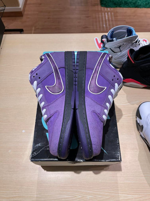 Nike SB Dunk Low Concepts Purple Lobster Sz 13