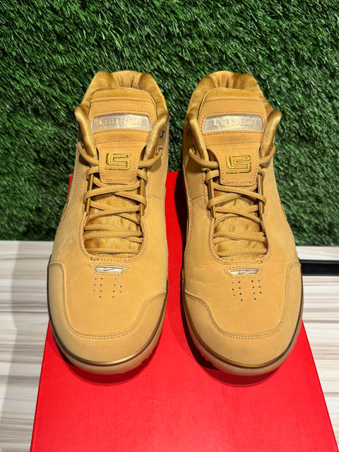 Nike Air Zoom Generation Wheat Retro Sz 9M