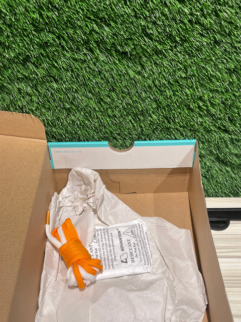 Nike SB Dunk High Thomas Campbell What the Dunk Sz 8M