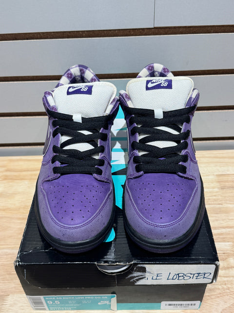 Nike SB Dunk Low Concepts Purple Lobster Sz 9.5