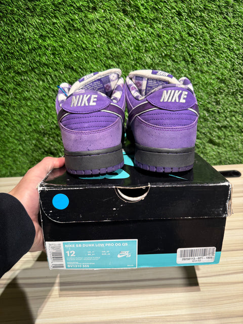 Nike SB Dunk Low Concepts Purple Lobster Sz 12M