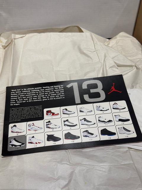 Jordan 13 Retro Wheat (2004) Sz 10