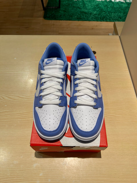 Nike Dunk Low Polar Blue