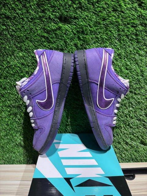 Nike SB Dunk Low Concepts Purple Lobster Sz 7.5M