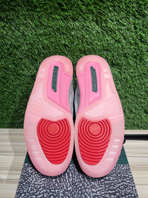 Jordan 3 Retro Wings Sz 10