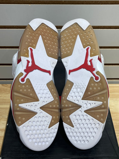 Jordan 6 Retro Alternate Hare Sz 11
