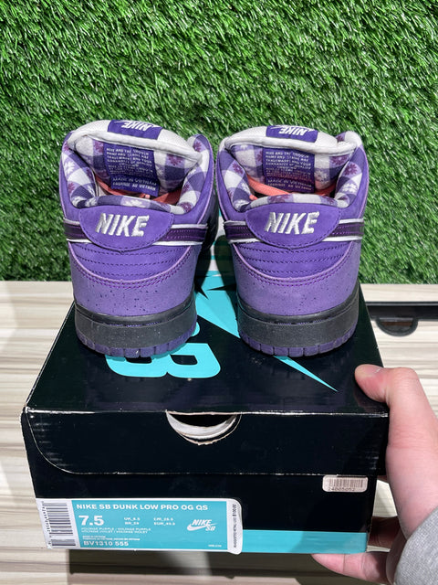 Nike SB Dunk Low Concepts Purple Lobster Sz 7.5M