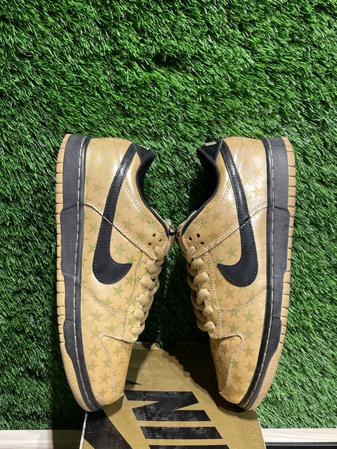 Nike SB Dunk Low Trickstar Sz 8M