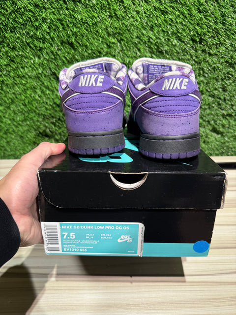 Nike SB Dunk Low Concepts Purple Lobster Sz 7.5M