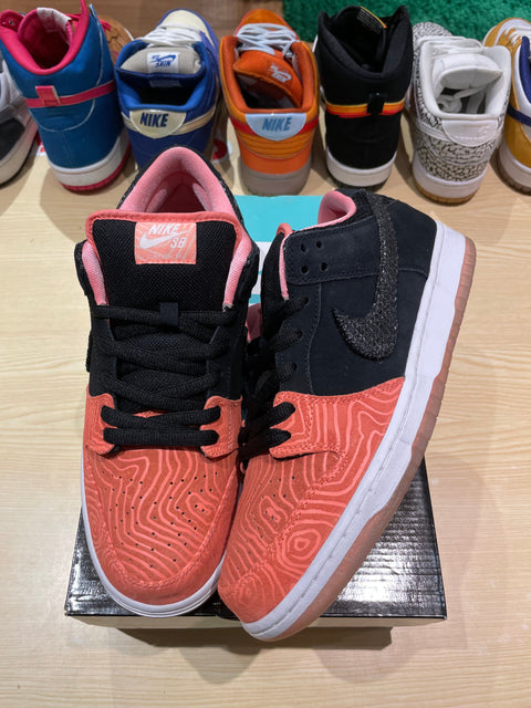 Nike SB Dunk Low Premier Fish Ladder