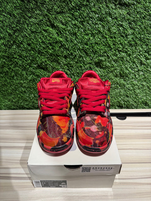 Nike SB Dunk Low The Wizard of Oz Poppy Field Sz 6.5M